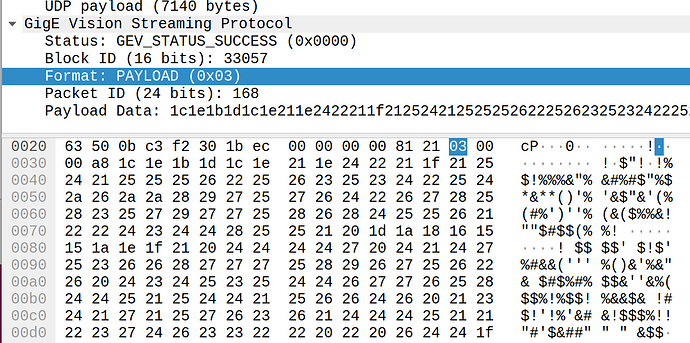 wireshark-gvsp